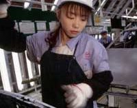 Pengaturan lingkungan kerja yang nyaman ala Jepang